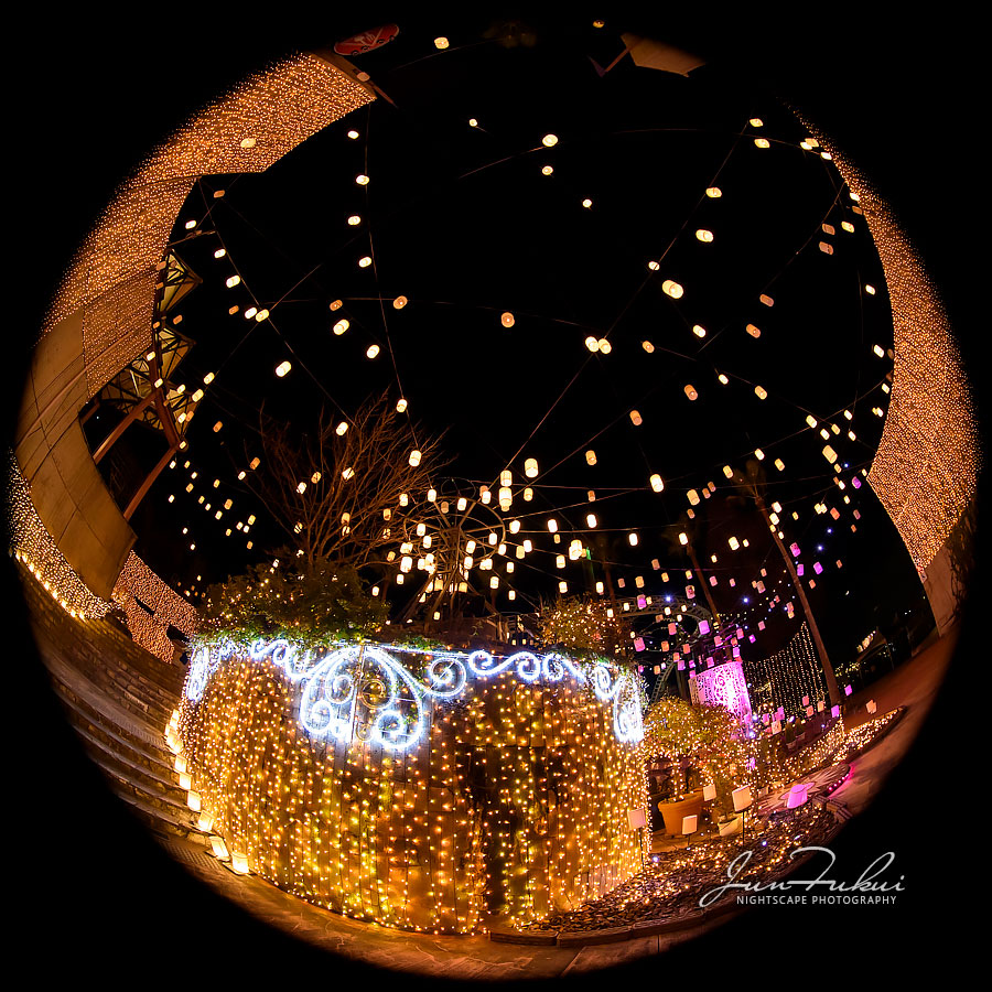 ひらかたパーク イルミネーション