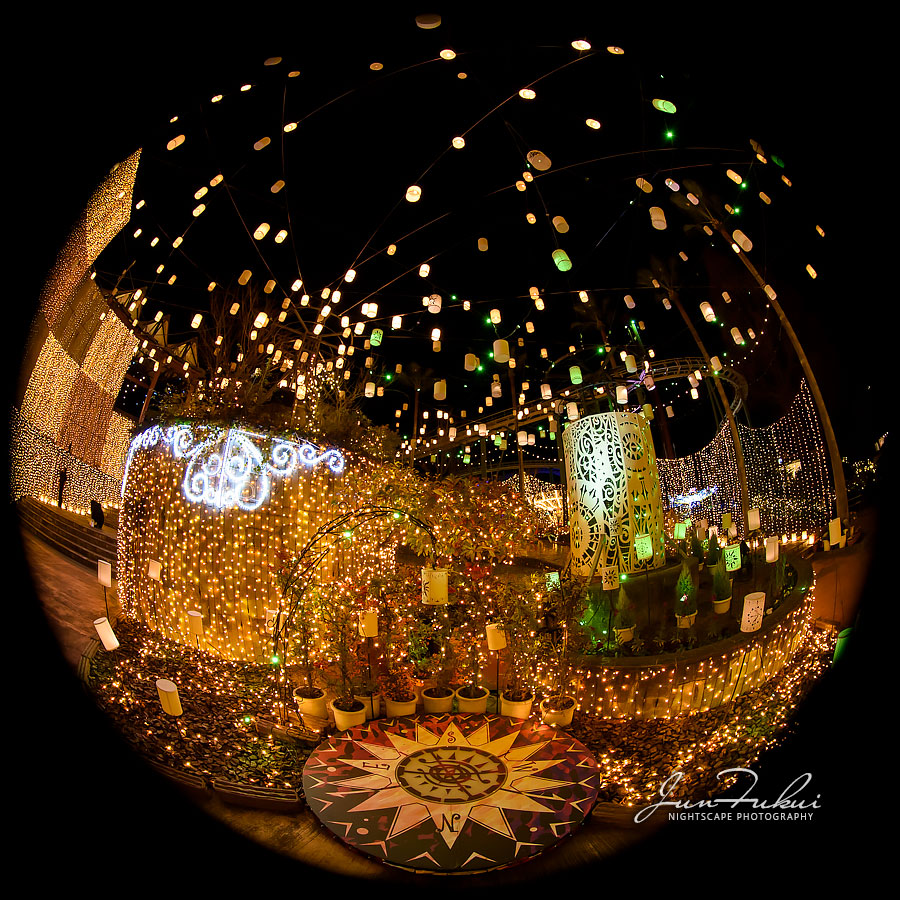 ひらかたパーク イルミネーション