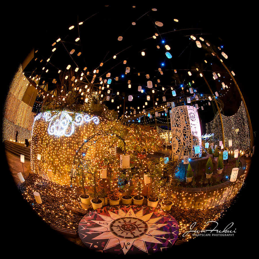 ひらかたパーク イルミネーション