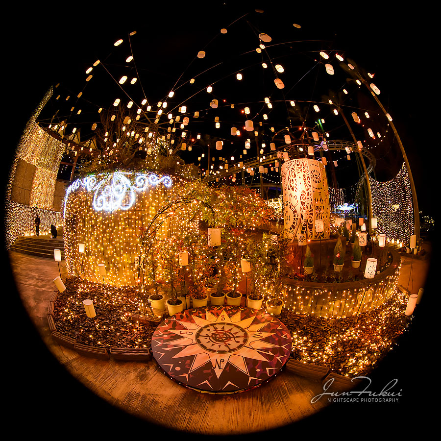 ひらかたパーク イルミネーション