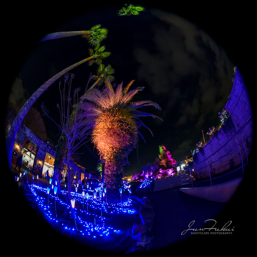 ひらかたパーク イルミネーション