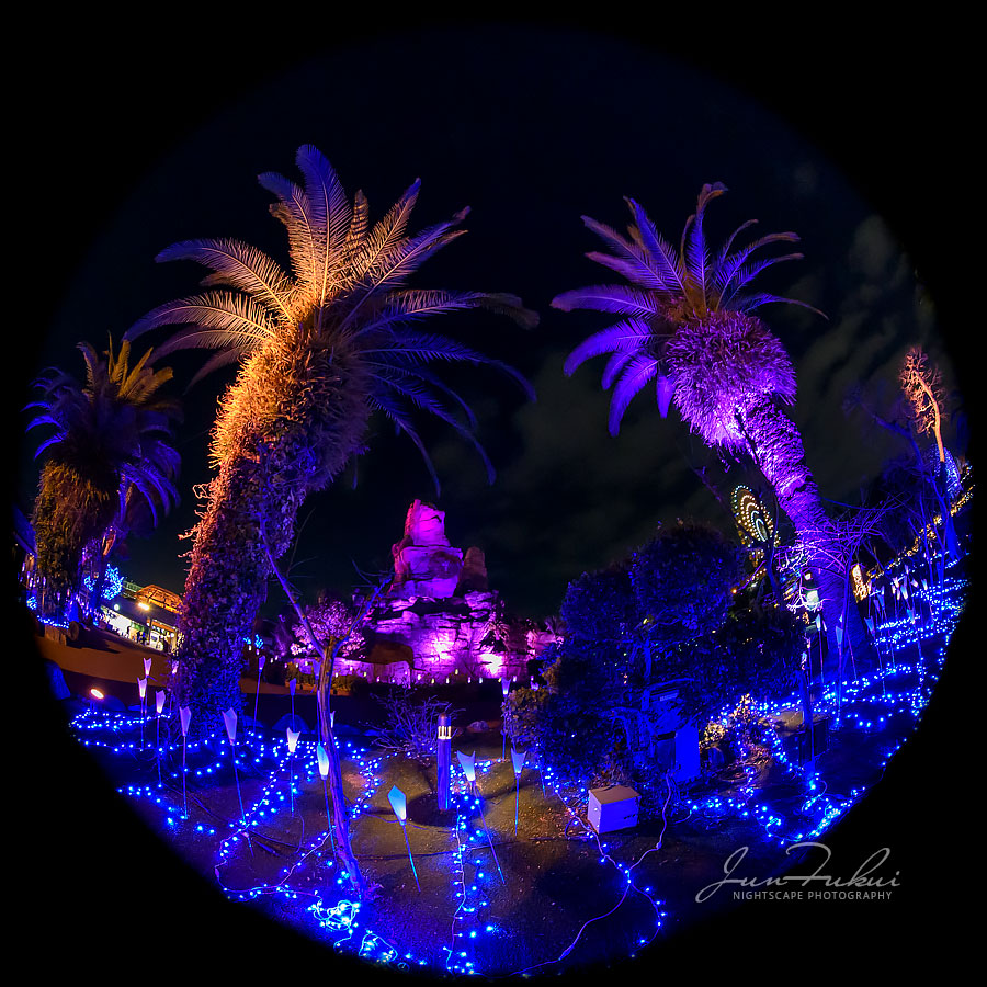 ひらかたパーク イルミネーション