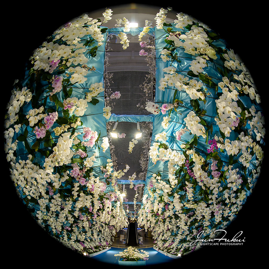 ハウステンボス イルミネーション