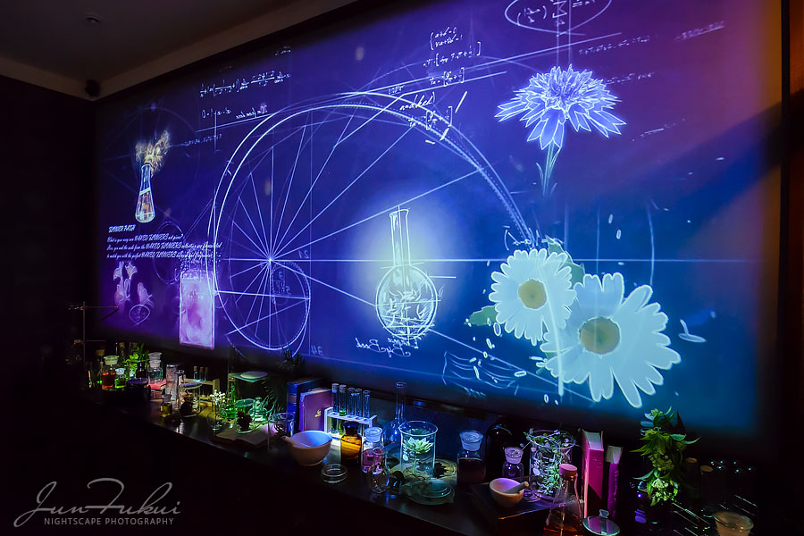 ハウステンボス イルミネーション