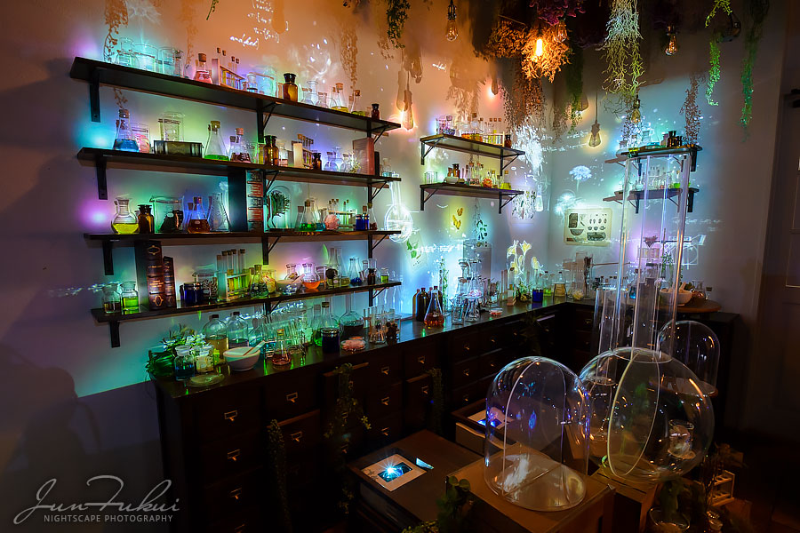 ハウステンボス イルミネーション