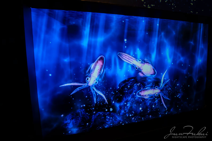 ハウステンボス イルミネーション