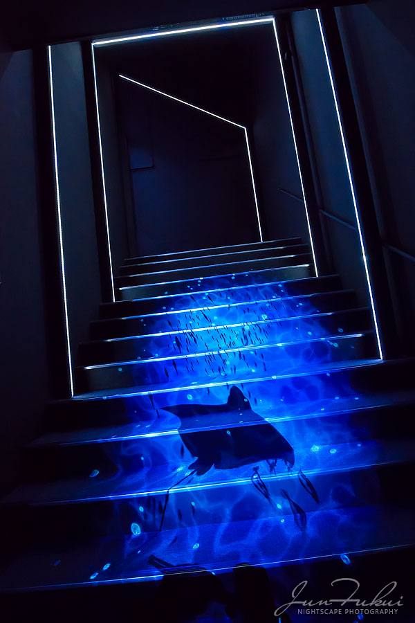 ハウステンボス イルミネーション