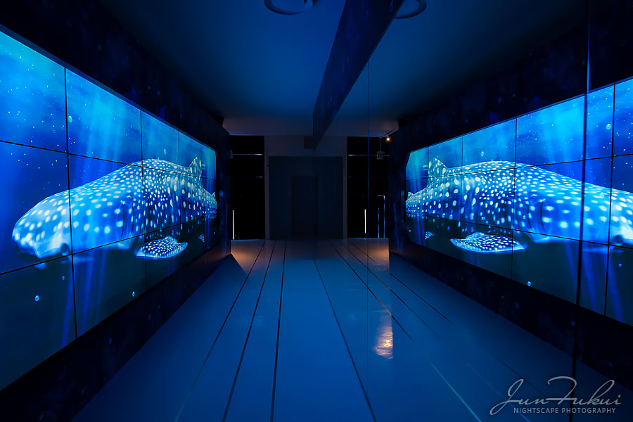 ハウステンボス イルミネーション