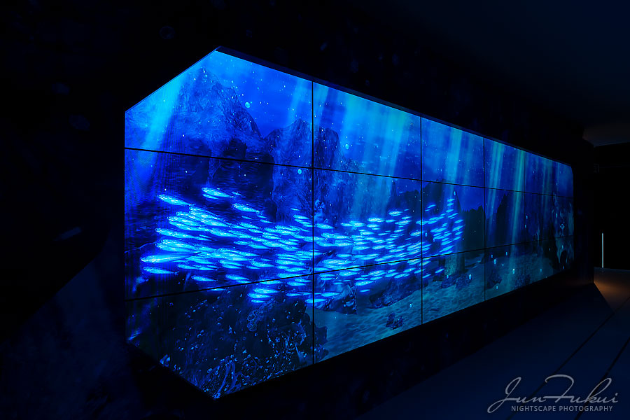 ハウステンボス イルミネーション