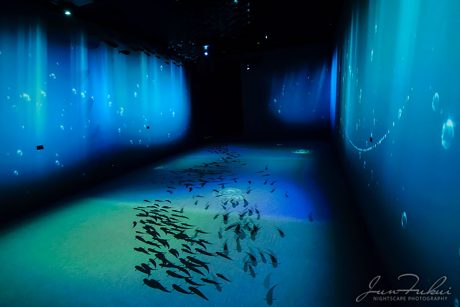 ハウステンボス イルミネーション