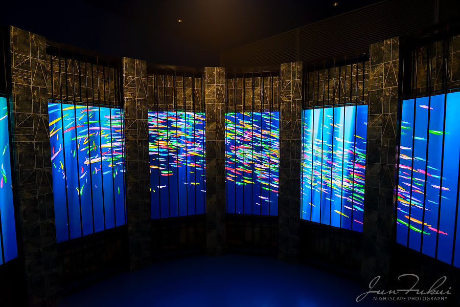 ハウステンボス イルミネーション