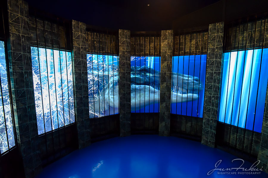 ハウステンボス イルミネーション