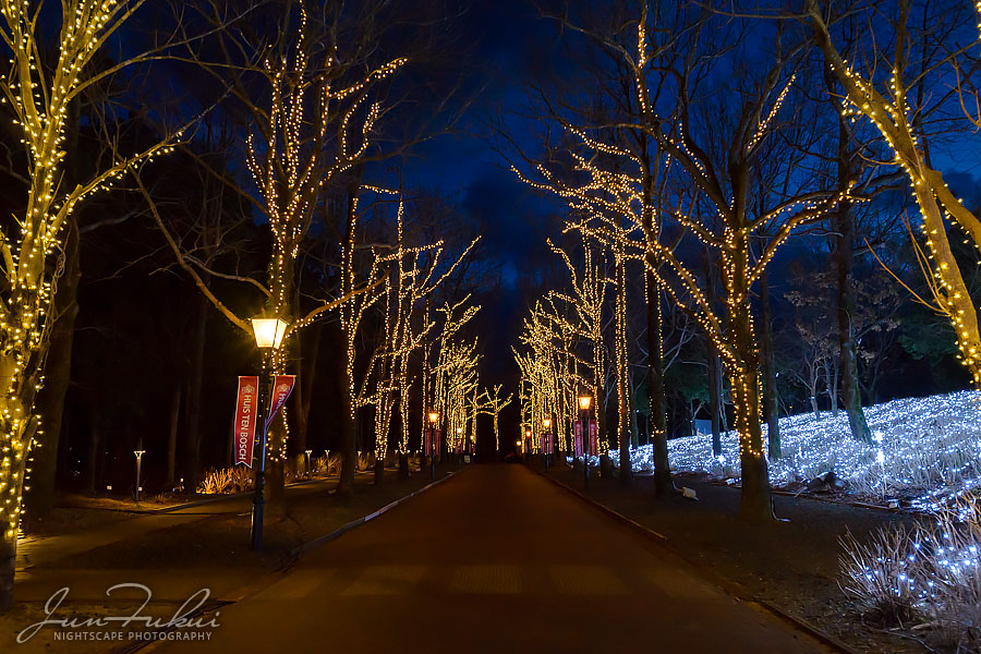 ハウステンボス イルミネーション