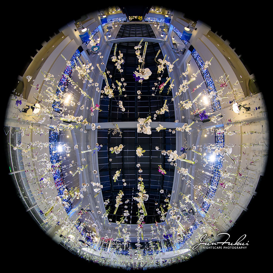 ハウステンボス イルミネーション