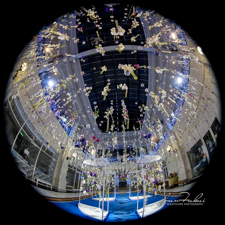 ハウステンボス イルミネーション