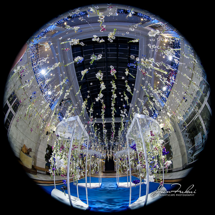 ハウステンボス イルミネーション