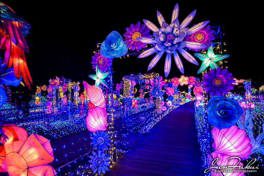 伊豆高原グランイルミ イルミネーション