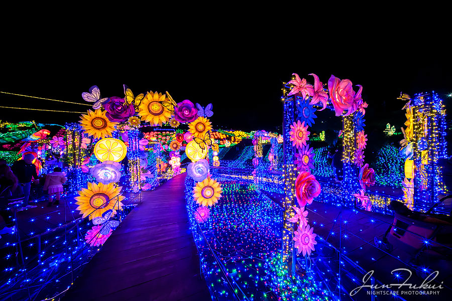 伊豆高原グランイルミ イルミネーション