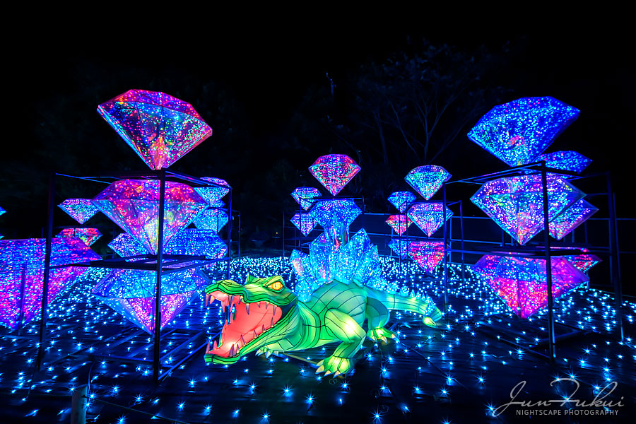 伊豆高原グランイルミ イルミネーション