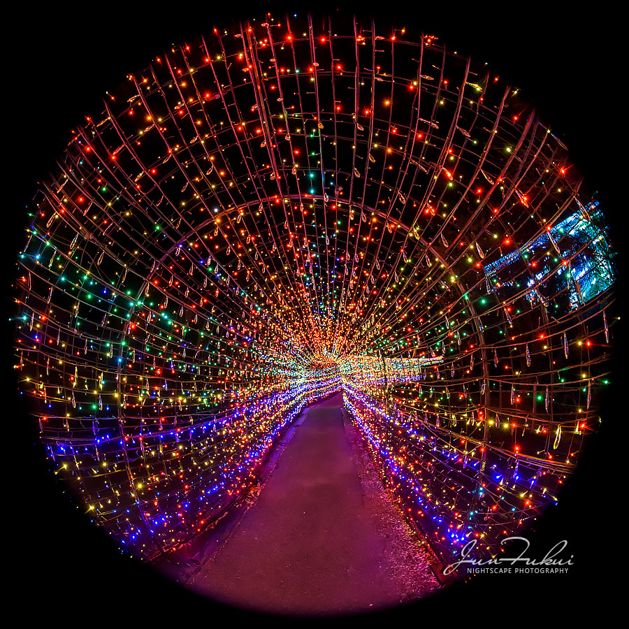 伊豆高原グランイルミ イルミネーション