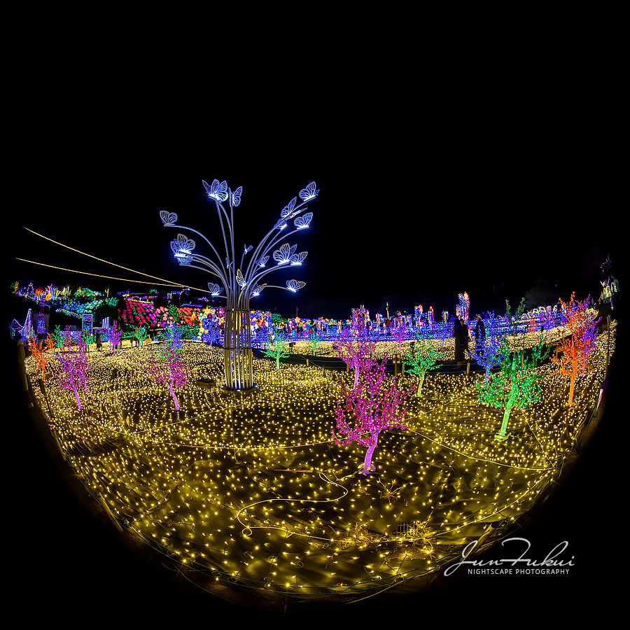 伊豆高原グランイルミ イルミネーション