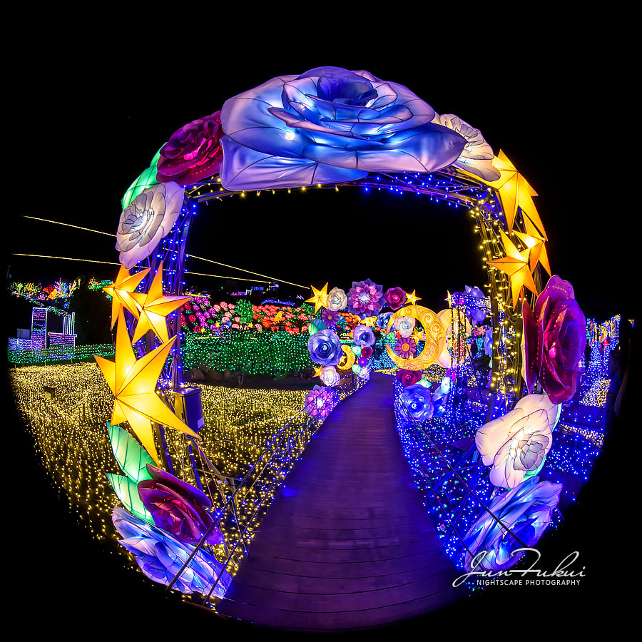 伊豆高原グランイルミ イルミネーション