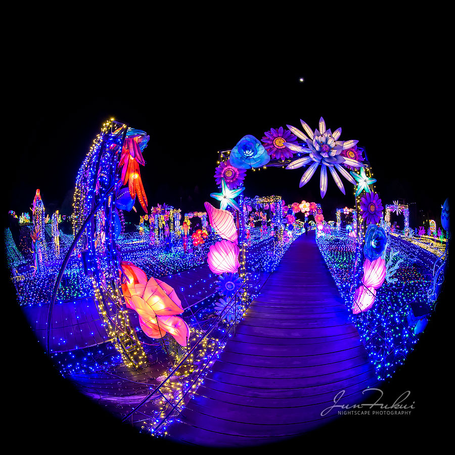 伊豆高原グランイルミ イルミネーション