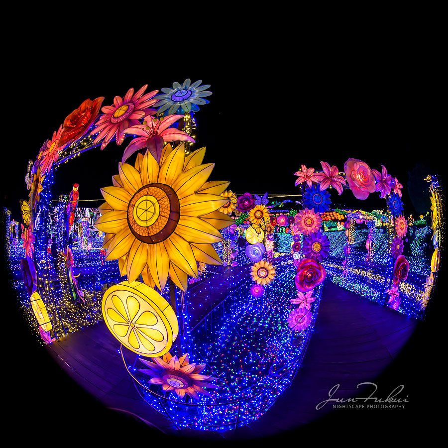 伊豆高原グランイルミ イルミネーション