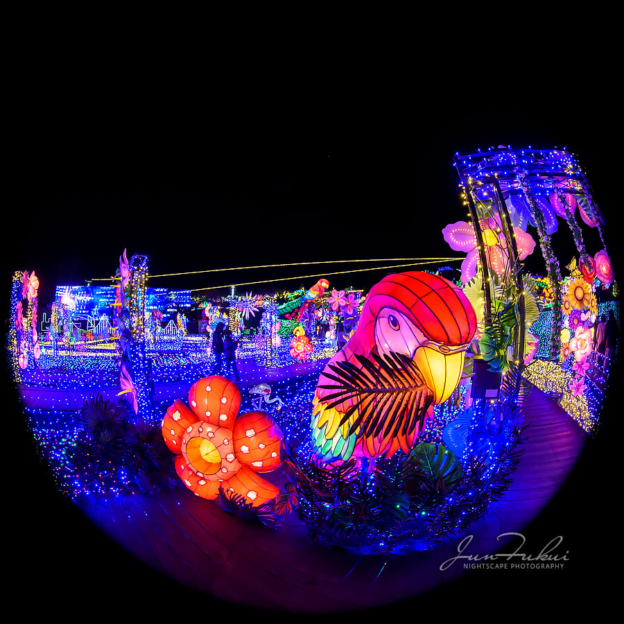 伊豆高原グランイルミ イルミネーション