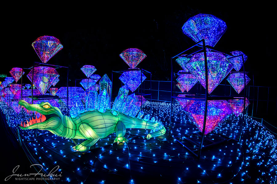 伊豆高原グランイルミ イルミネーション