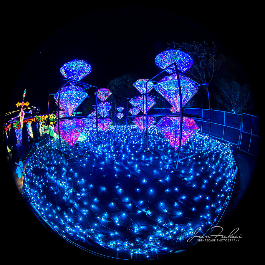 伊豆高原グランイルミ イルミネーション