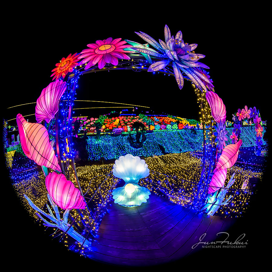 伊豆高原グランイルミ イルミネーション