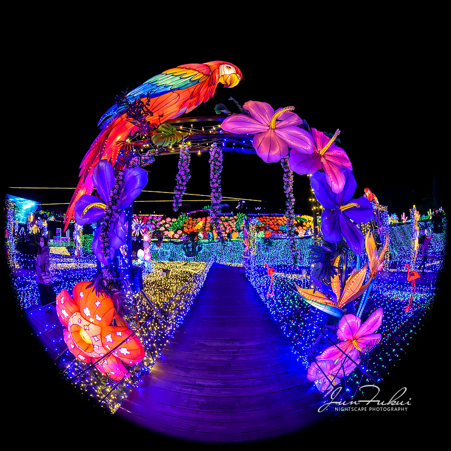 伊豆高原グランイルミ イルミネーション