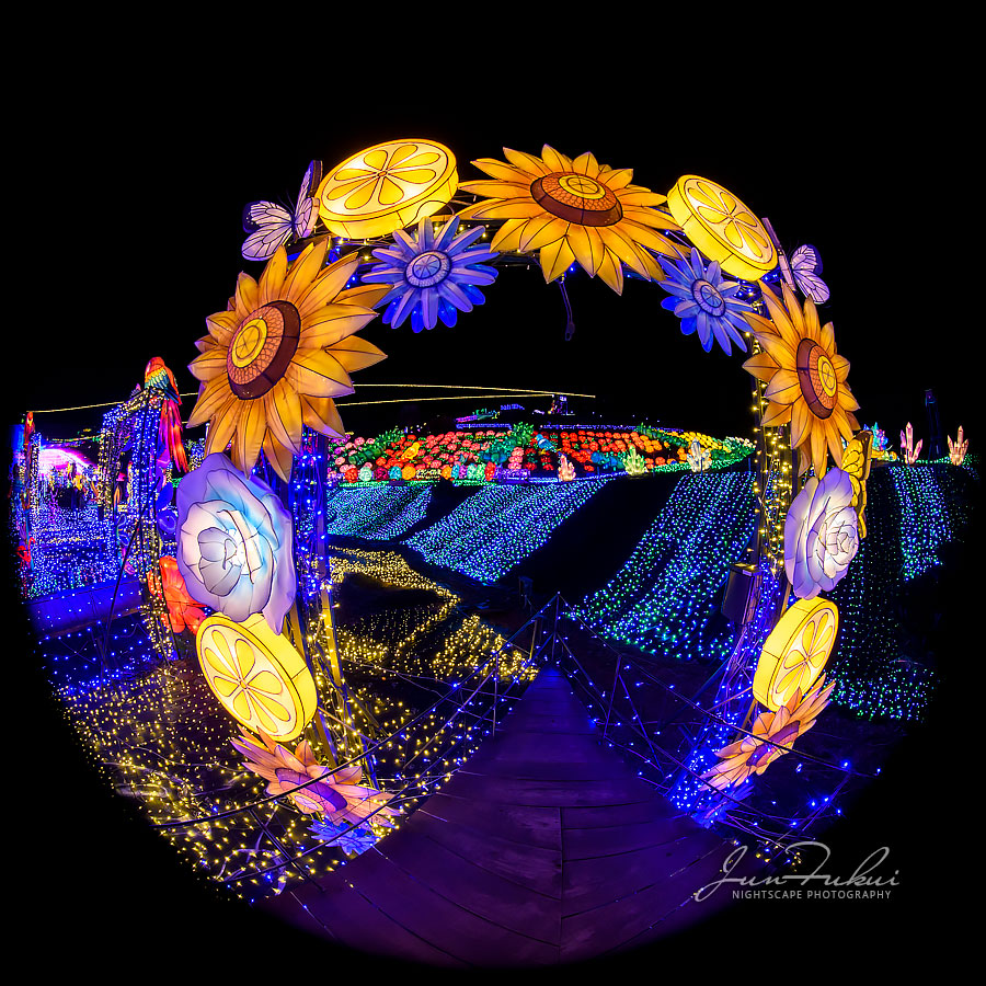 伊豆高原グランイルミ イルミネーション