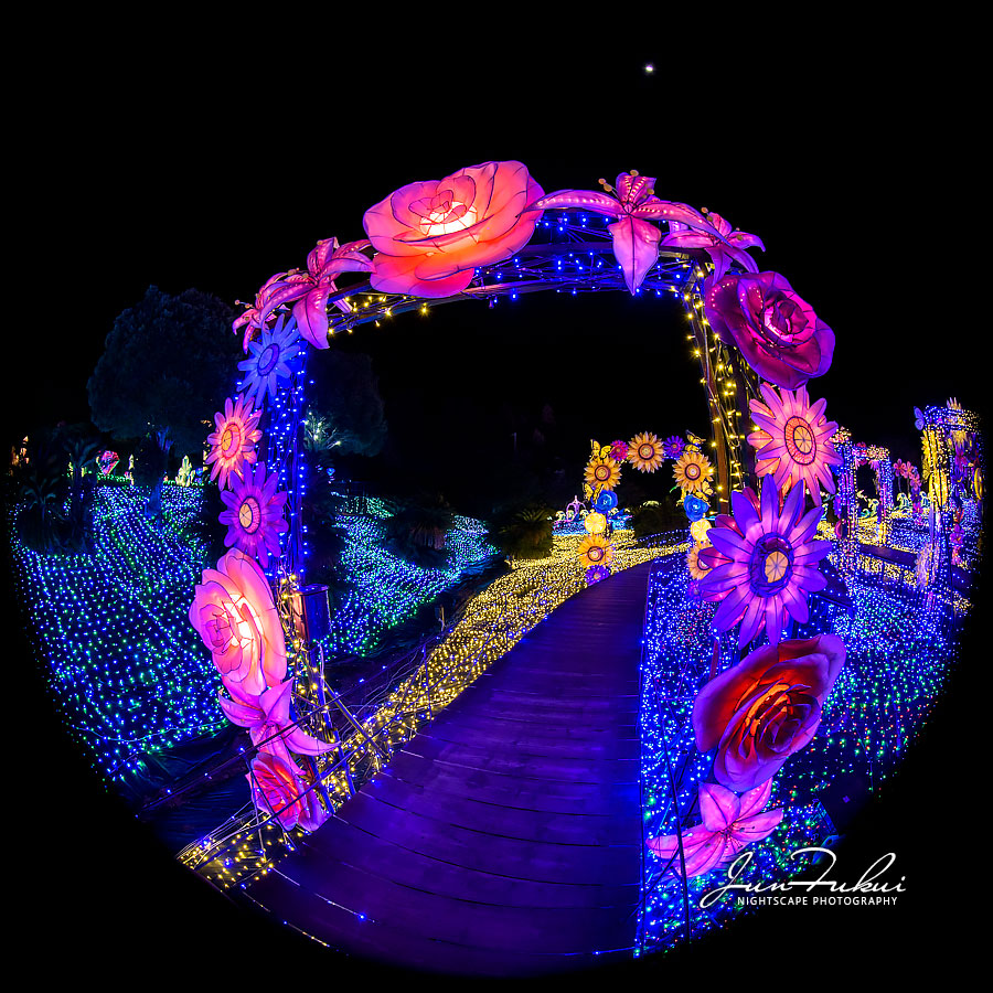 伊豆高原グランイルミ イルミネーション