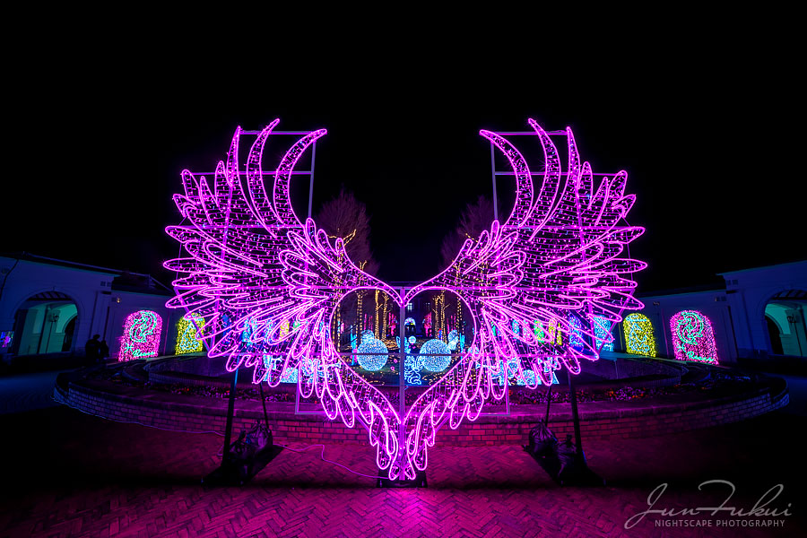 神戸イルミナージュ イルミネーション