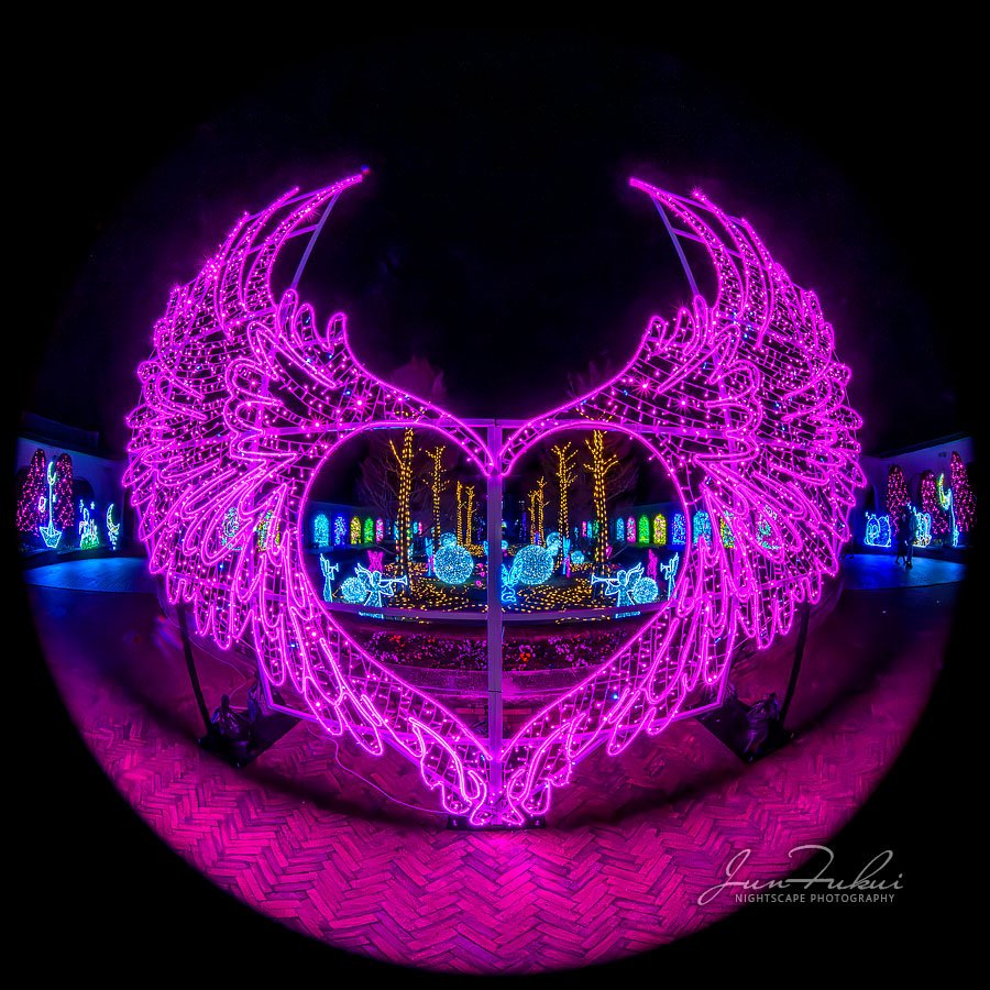 神戸イルミナージュ イルミネーション