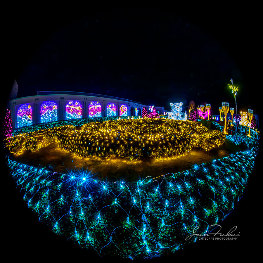 神戸イルミナージュ イルミネーション