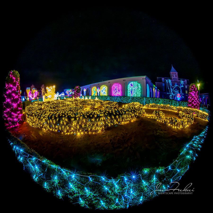 神戸イルミナージュ イルミネーション