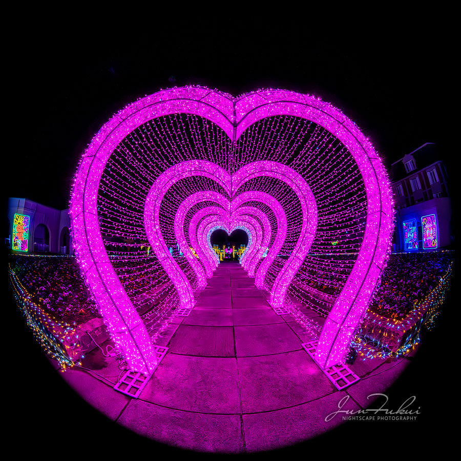 神戸イルミナージュ イルミネーション