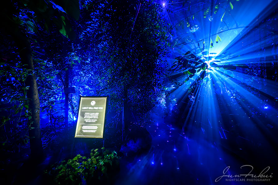 京都府立植物園 ナイトスケープ