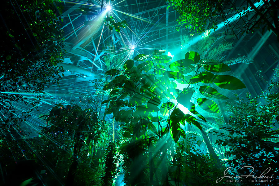 京都府立植物園 ナイトスケープ