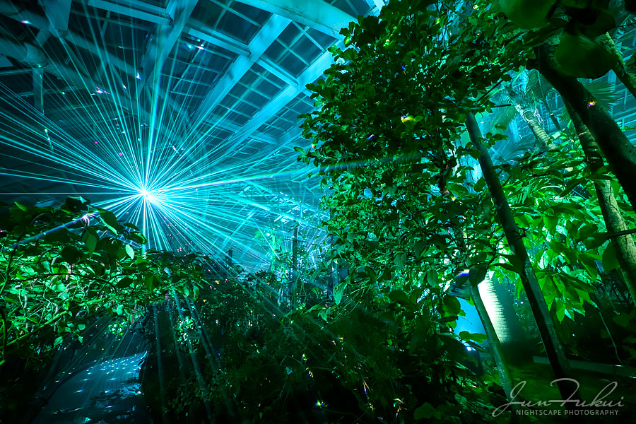 京都府立植物園 ナイトスケープ
