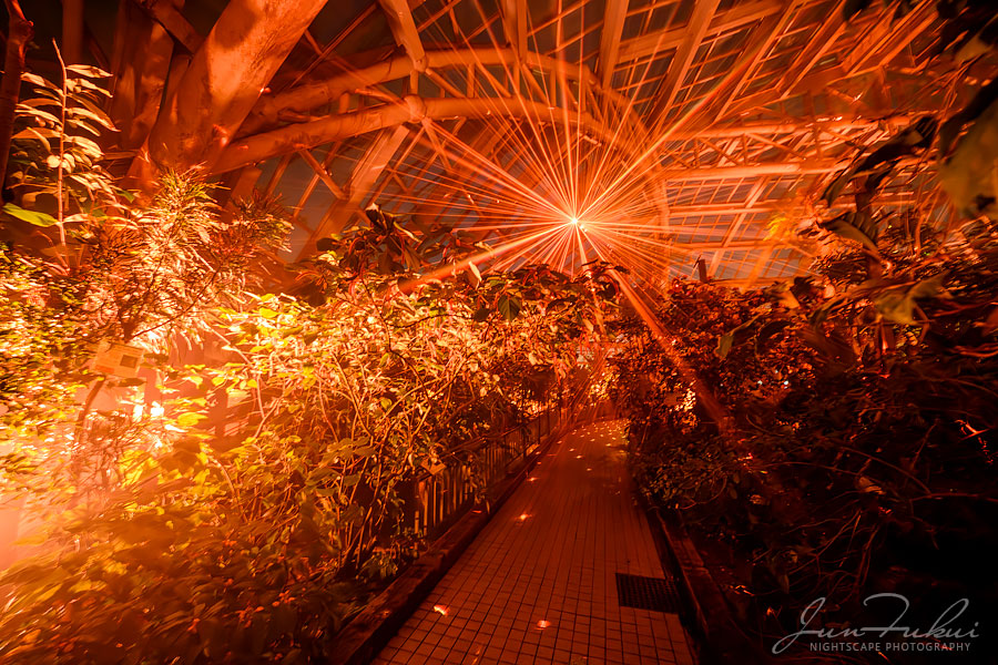 京都府立植物園 ナイトスケープ