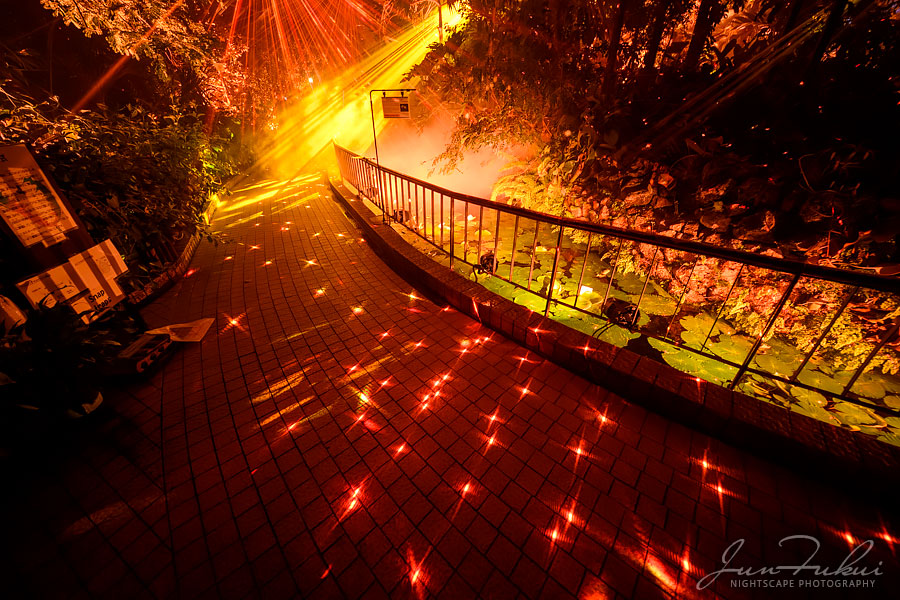京都府立植物園 ナイトスケープ