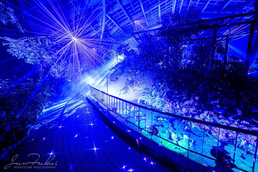 京都府立植物園 ナイトスケープ