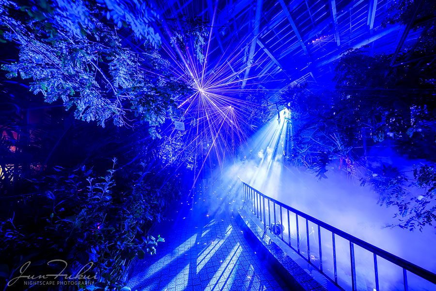 京都府立植物園 ナイトスケープ