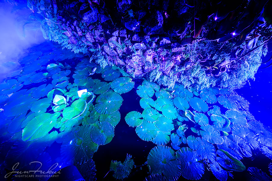 京都府立植物園 ナイトスケープ