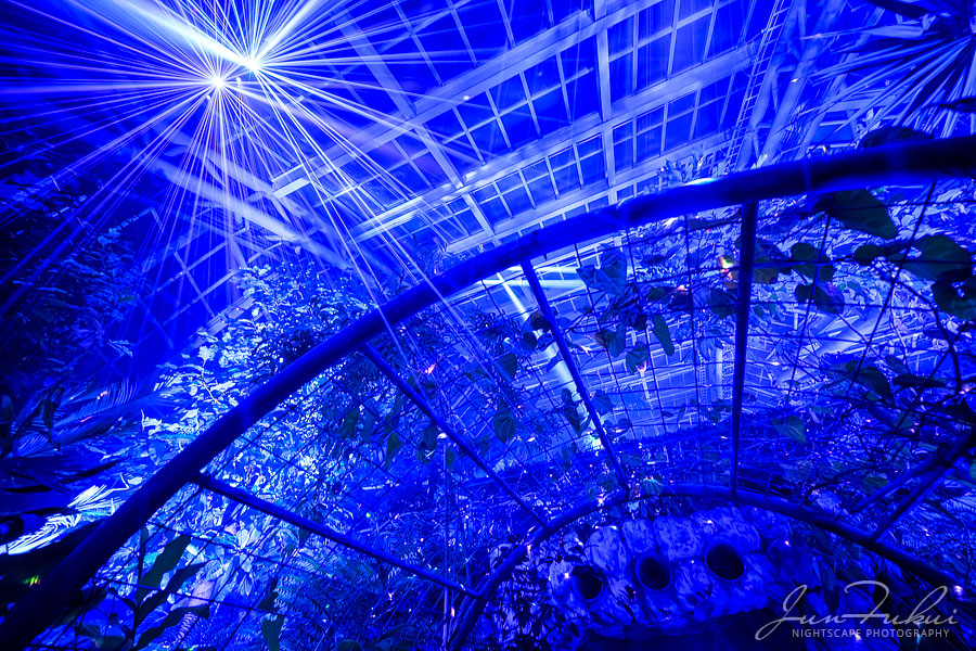 京都府立植物園 ナイトスケープ