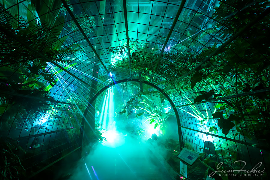 京都府立植物園 ナイトスケープ